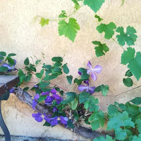別荘 Cocon, Jardin, Aux Portes De ヴェルヌイユ・ダヴル・エ・ディトン