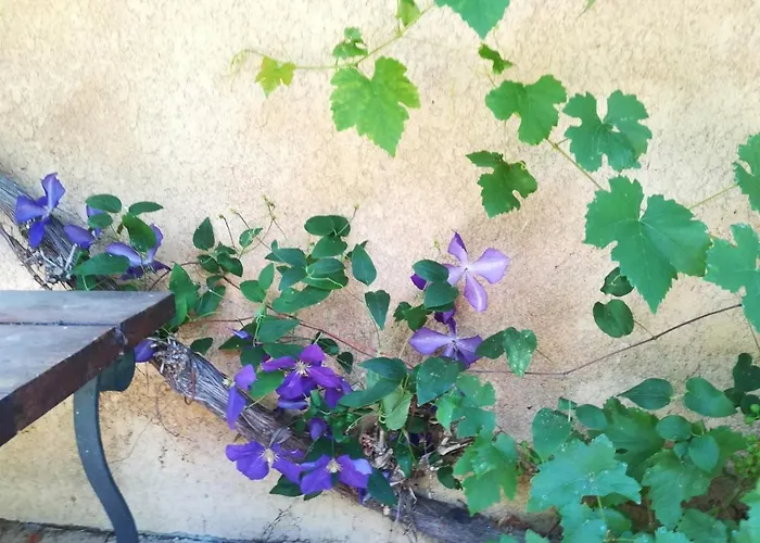 Hébergement de vacances Cocon, Jardin, Aux Portes De Verneuil d'Avre et d'Iton