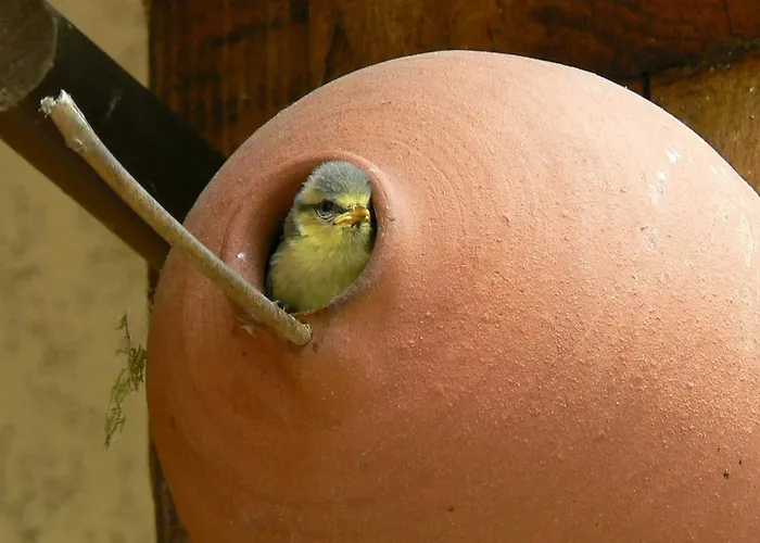 Cocon, Jardin, Aux Portes De * Verneuil d'Avre et d'Iton